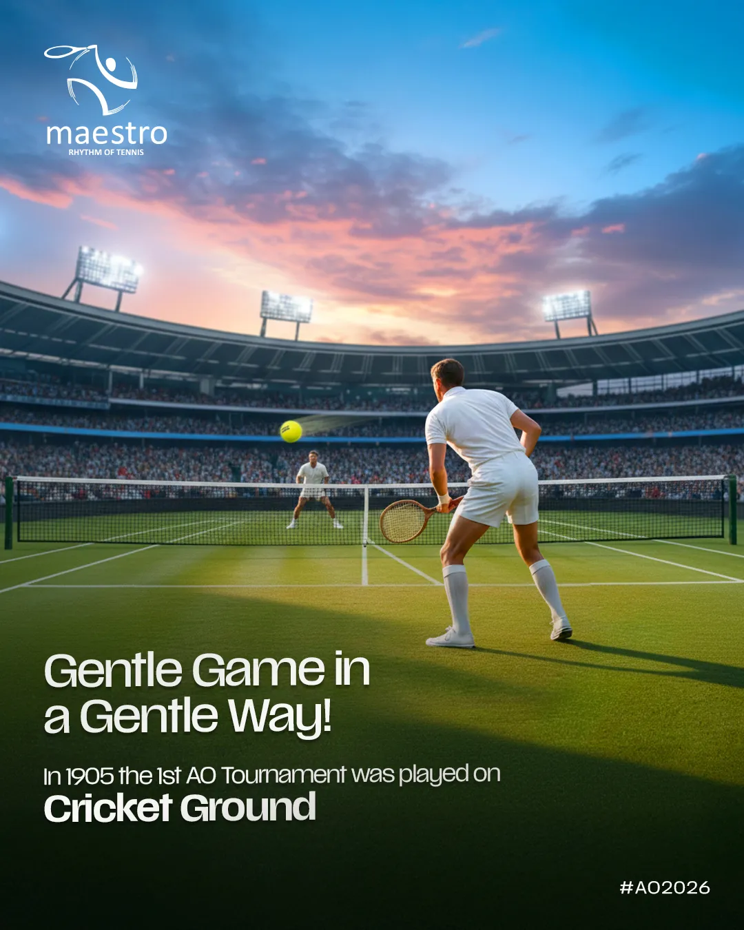 Maestro Tennis Academy creative 8